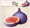Fig fruit. Cartoon vector icon