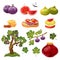 Fig fruit and desserts, set of isolated icons, tree branch and jam jar, vector illustration