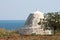 Fig tree and typical shed along the Adriatic, Italy