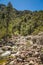 Figarella river running through Foret de Bonifatu in Corsica