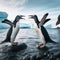 A fight breaks out between two Antarctic penguins