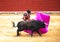 The fight of a bull and bullfighter. Corrida de toros.
