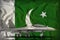 Fighter, interceptor on the Pakistan state flag background. 3d Illustration