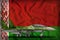 Fighter, interceptor with pixel forest camouflage on the Belarus state flag background. 3d Illustration
