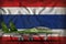 Fighter, interceptor with pixel forest camouflage on the Thailand state flag background. 3d Illustration