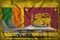 Fighter, interceptor on the Sri Lanka state flag background. 3d Illustration