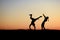 Fighters in field at sunset