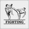 Fighters of martial mixed arts. Sport club emblem.