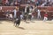 Fighting bulls running the arena. Encierros San Sebastian Reyes