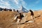 Fighting goats on Matterhorn Cervino peak background