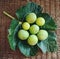 Figs fruit