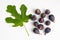 Figs fruits and leaf on white background, top view