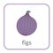 Figs icon. Purple outline flat sign, isolated white background. Symbol of health nutrition, eco food fruit. Contour