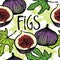 Figs seamless pattern