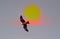 Figure bird of prey on the background of the solar disk