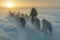 A figure cloaked in fur leads a team of huskies through a misty, snowy terrain at dawn, the sun casting a soft glow.