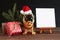 Figure of a dog in a Christmas hat on a wooden table. Symbol of the coming year
