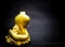 Figure gilded snake and toad on a black background