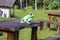 The figure of a green frog on a wooden table in a tropical garden on the island of Bali, Indonesia. Close up