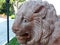 The figure of one of the lions in front of the main entrance to the Yusupov Palace