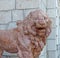 The figure of one of the lions in front of the main entrance to the Yusupov Palace