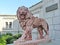 The figure of one of the lions in front of the main entrance to the Yusupov Palace