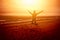 Figure person jumping on the beach at sunset.