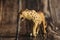 Figure of a toy Cheetah on a wooden background