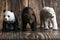 Figure of a toy polar bear, brown bear and Panda on a wooden background