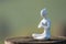 Figure of young woman meditates while practicing yoga. Freedom concept. Calmness and relax, with empty space for text