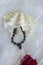 figured white bivalve shell casket and bracelet of black pearls