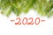 Figures 2020 on a white background, frame of fir branches