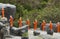 Figures of buddha monkhs in orange dress