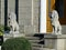 The figures of the lions in front of the main entrance to the Yusupov Palace