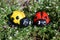 Figures of two ladybirds in the green grass