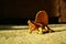 A figurine of an aggressive growling orange Dimetrodon dinosaur stands on a woolen carpet and is illuminated by sunlight