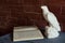 Figurine of an eagle with an open book wooden table