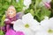 Figurine of a fairy displayed amongst white and pink petunias