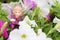 Figurine of a fairy displayed amongst white and pink petunias