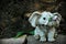 Figurine of a gray baby elephant in the garden on a path with yellow leaves