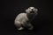 Figurine of a polar bear on dark background