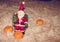 Figurine of Santa Claus with a delicious and ripe oranges for the dressing rooms to create new year and Christmas mood