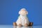 Figurine of a small laughing sheep blue background