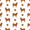 Fiinnish spitz seamless pattern. Different poses, coat colors set