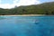 Fiji Islands: Beautiful scenery at the beach: Boat brings guest to their resort on a wonderful island