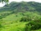 Fiji landscapes near the Navala village