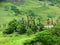 Fiji landscapes near the Navala village