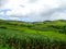 Fiji landscapes near the Navala village