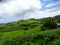 Fiji landscapes near the Navala village