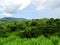 Fiji landscapes near the Navala village